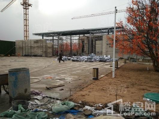 龙口中南熙悦实景图