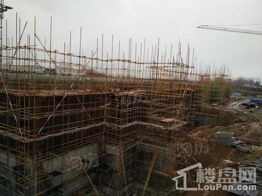 龙口中南熙悦实景图