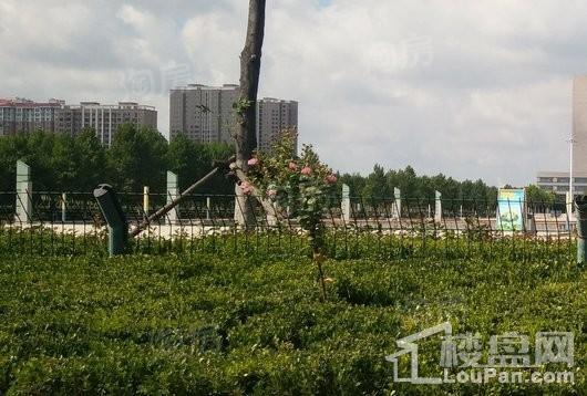 龙口中南熙悦配套图