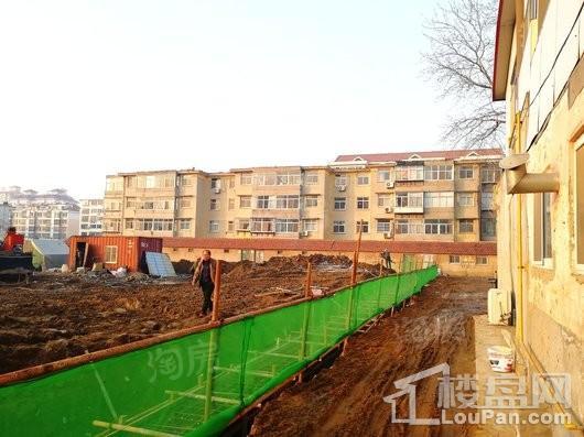 东泰仕林首府实景图