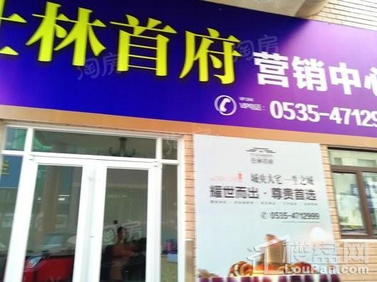 东泰仕林首府实景图