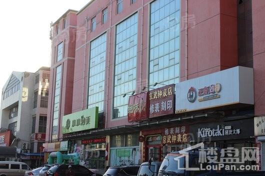 东泰仕林首府配套图