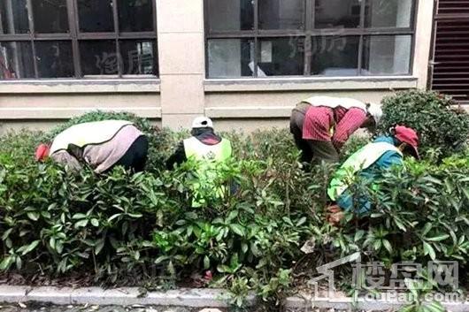 绿地万和城实景图