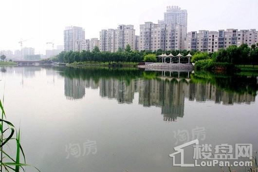 扬子万象都汇配套图