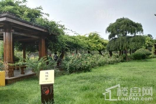 创业·火炬广场（住宅）配套图