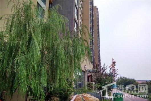 恒和·花半里实景图