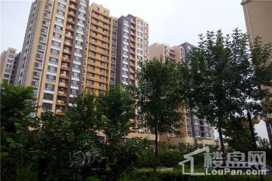 恒和·花半里实景图