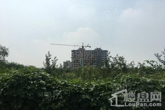 盛景澜庭实景图