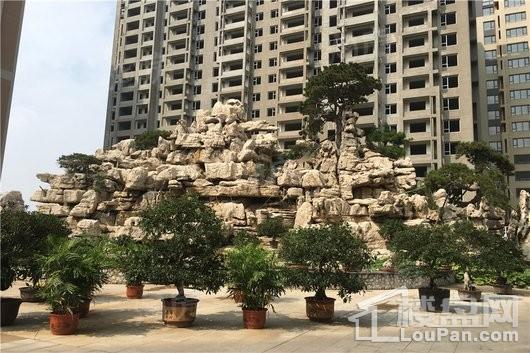 东城华府·海棠湾实景图