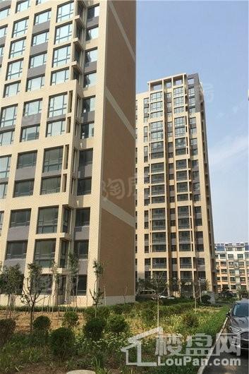 东城华府·海棠湾实景图