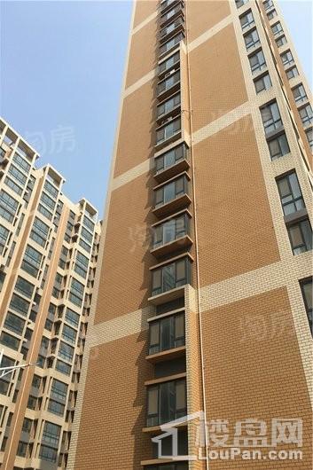 东城华府·海棠湾实景图