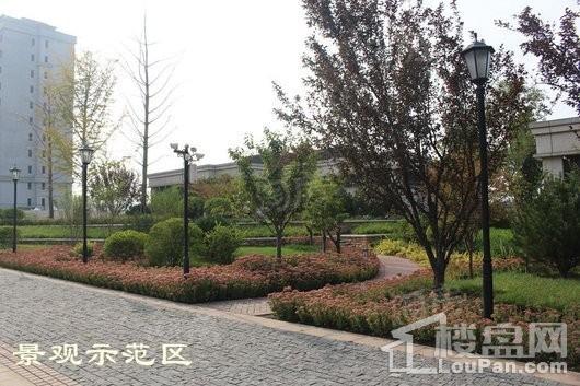 紫御城实景图