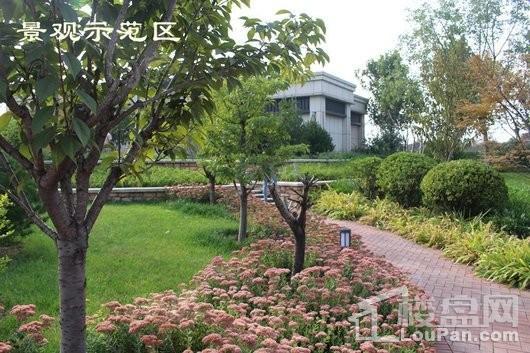 紫御城实景图
