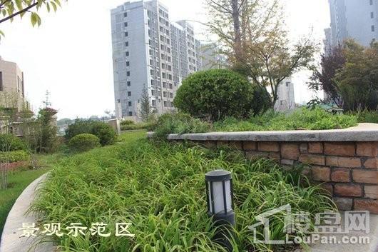 紫御城实景图