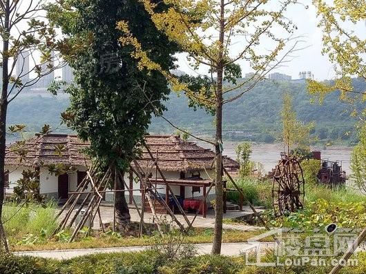 龙湖春江天镜配套图