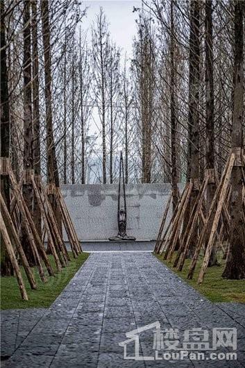 万科森林公园实景图