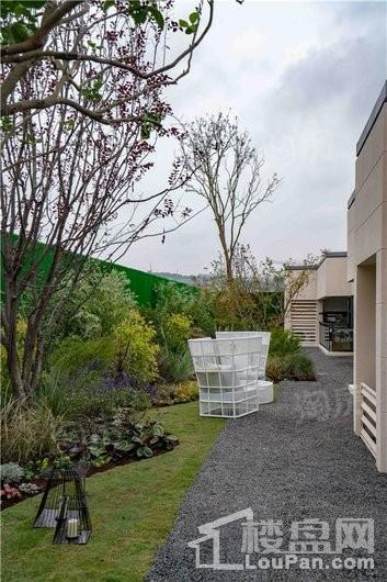 万科森林公园实景图