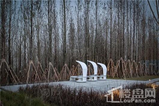 万科森林公园实景图