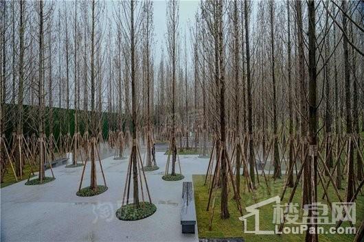 万科森林公园实景图