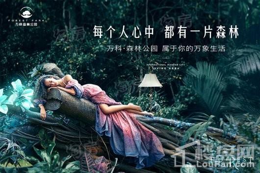 效果图