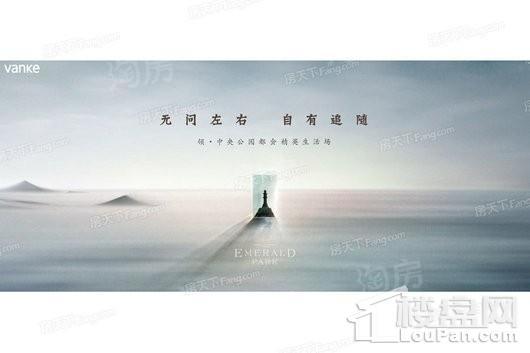 万科森林公园效果图