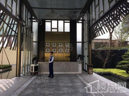 合景泰富誉峰实景图