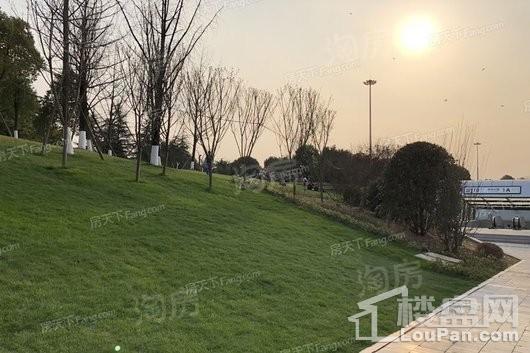 合景泰富誉峰配套图