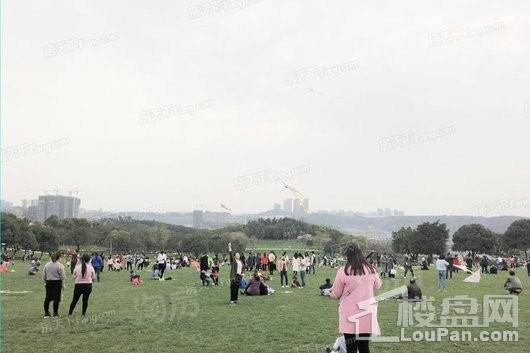 合景泰富誉峰配套图