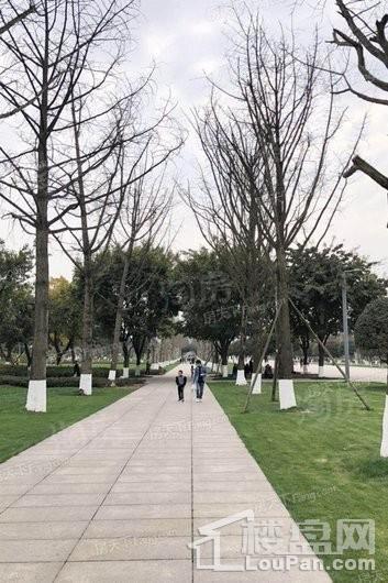 合景泰富誉峰配套图