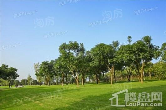 合景泰富誉峰配套图