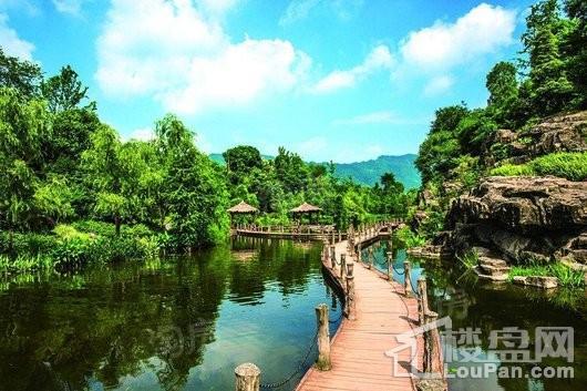富力白鹭湾配套图