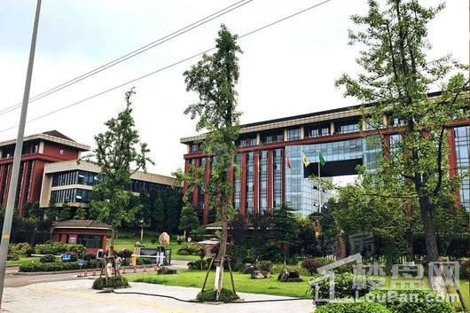 碧桂园金茂金科樾千山配套图