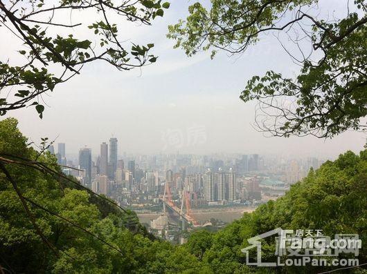 君临南山崇德府配套图