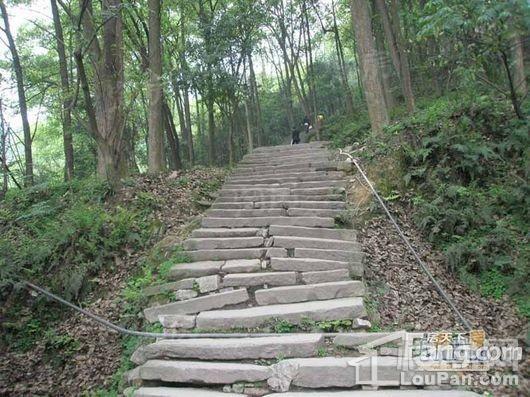 君临南山崇德府配套图