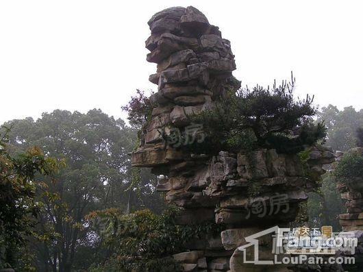 君临南山崇德府配套图
