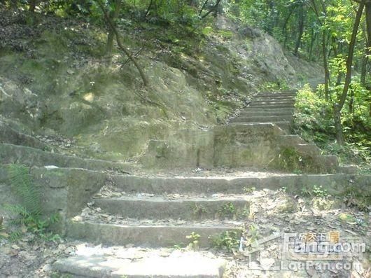 君临南山崇德府配套图