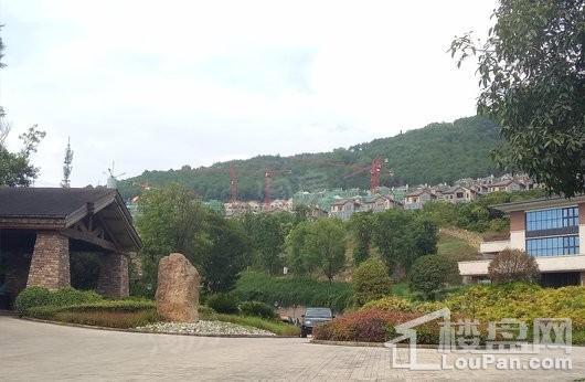 远洋公园实景图
