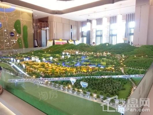 远洋公园实景图