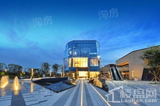 万科金开悦府实景图