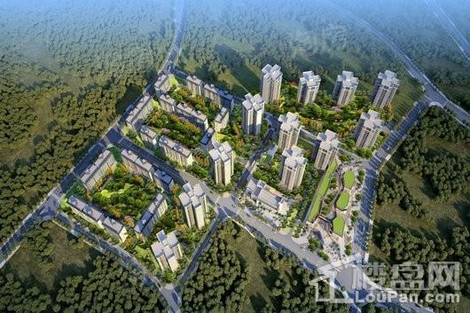 万科金开悦府效果图