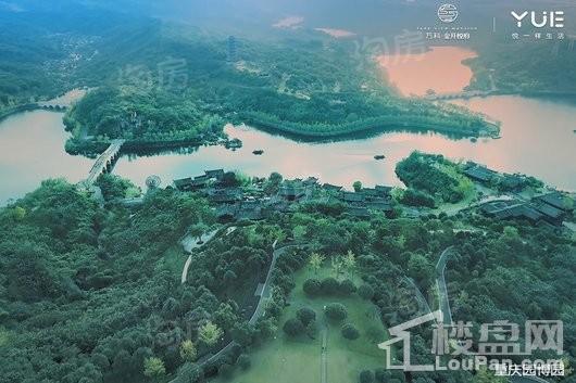 万科金开悦府配套图