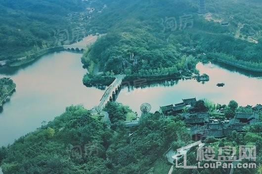 万科金开悦府配套图