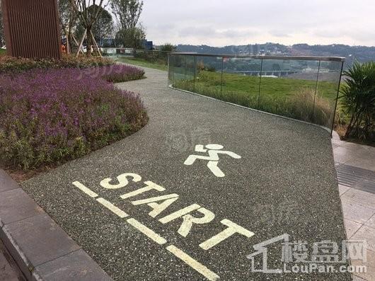 复地君屿墅实景图