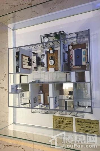 鸿成珠江玥实景图