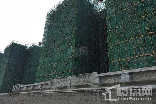 鸿成珠江玥实景图
