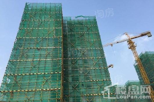 鸿成珠江玥实景图