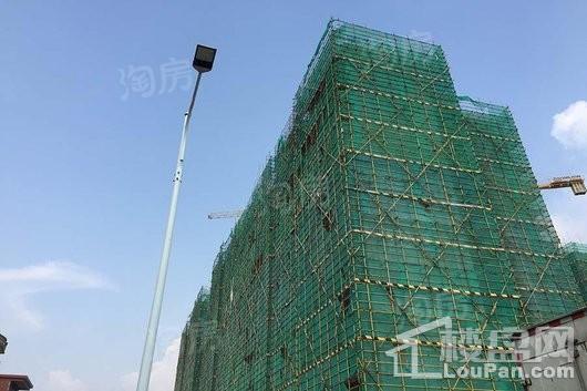 鸿成珠江玥实景图