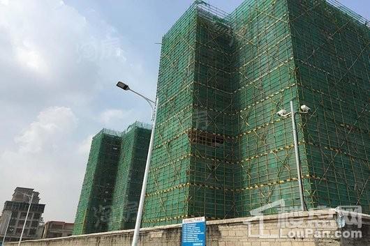 鸿成珠江玥实景图