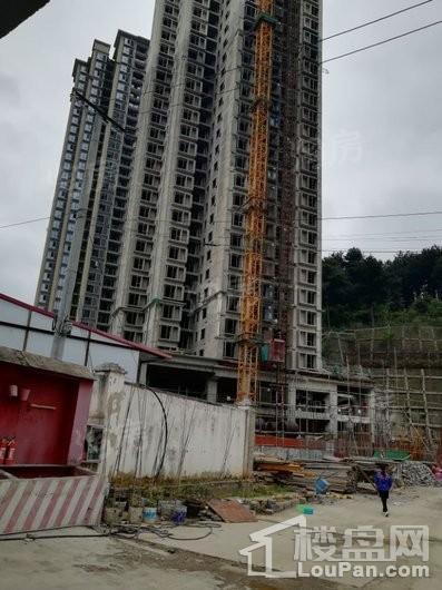 实景图