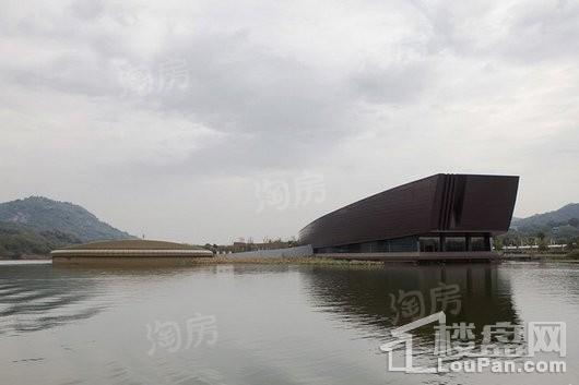 佳源湘湖印象配套图